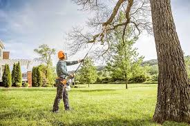 Professional Tree Removal and Landscaping Services in Gray Summit, MO